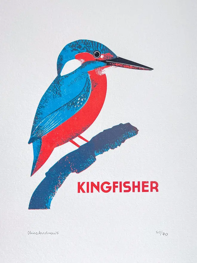 illustrated kingfisher print