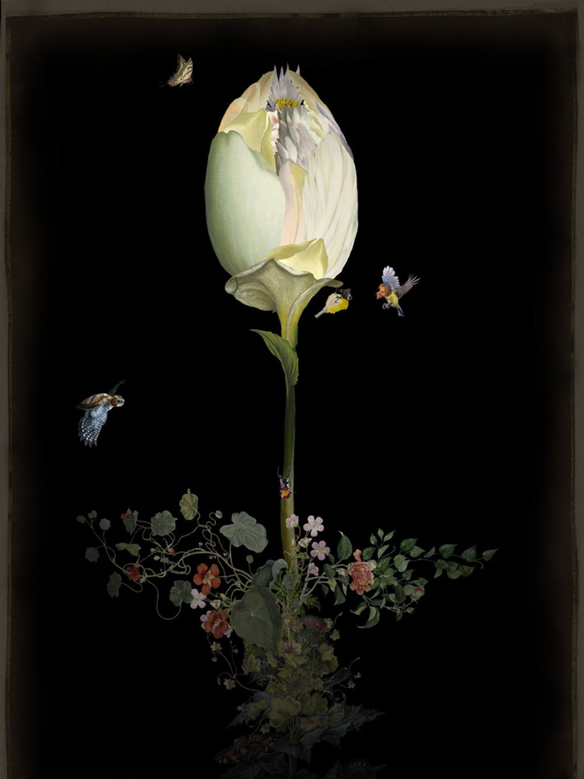 Guilty secret flower print
