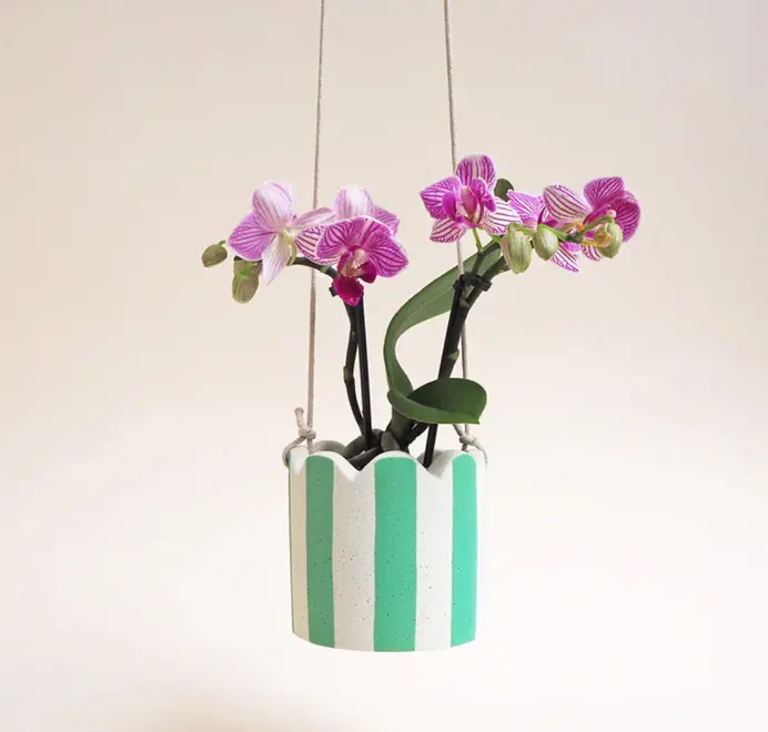 Small Stripy Hanging Plant Pot. Orchid in a white ceramic pot decorated with vertical green stripes against a plain light background.
