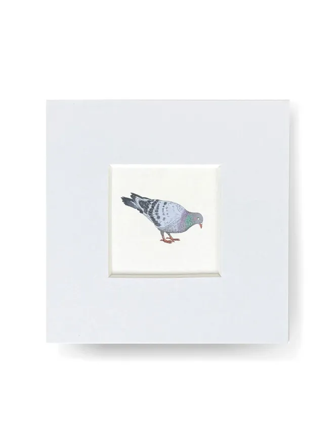 Pigeon Tiny Print