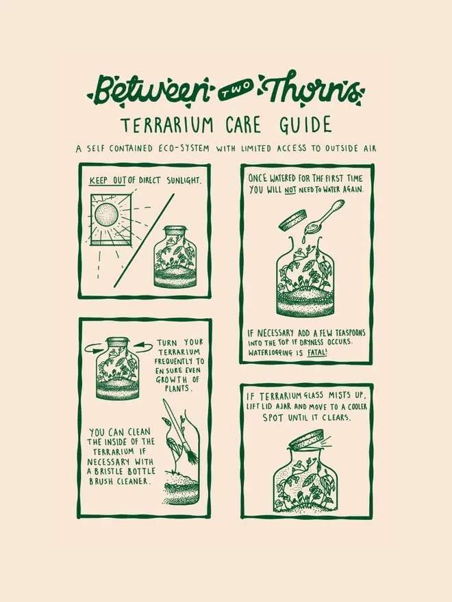 DIY Closed Terrarium Kit, how to use guide. 