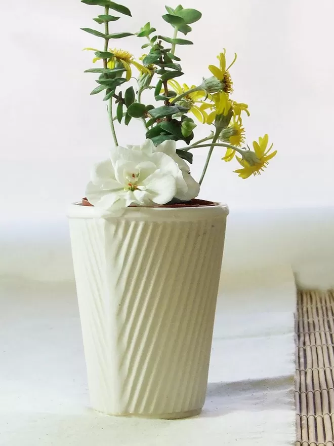 Cream planter