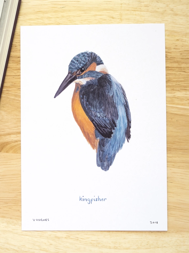 a print featuring an illustration of a kingfisher
