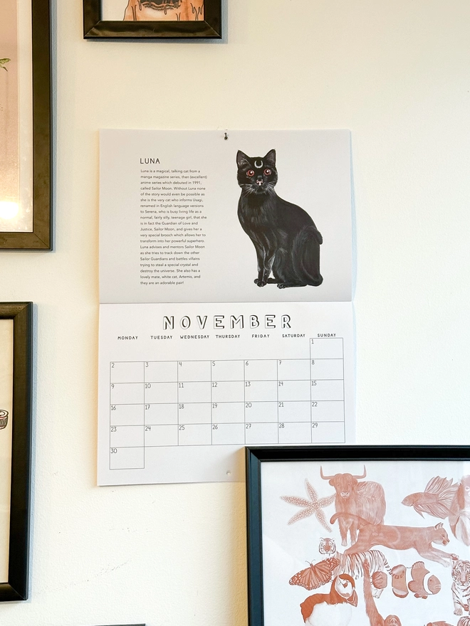 Calendar open to November featuring illustration of a black cat