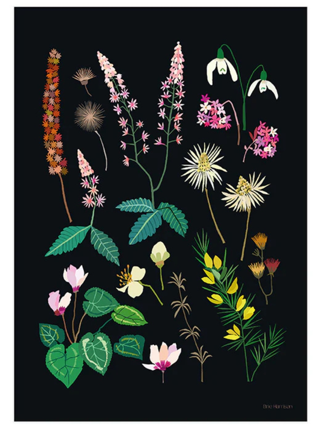 late winter floral print