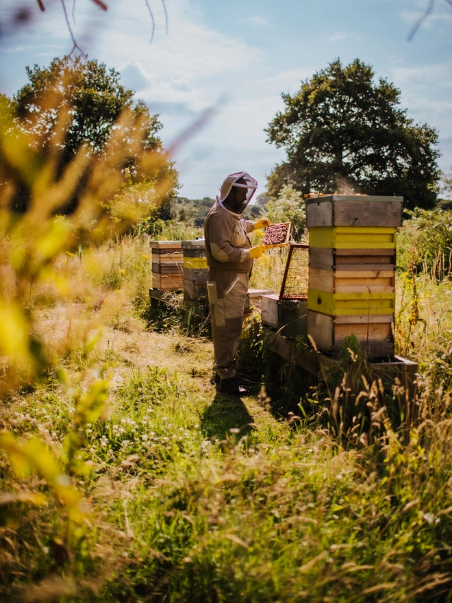 Beekeeper performing a hive inspection Hertfordshire