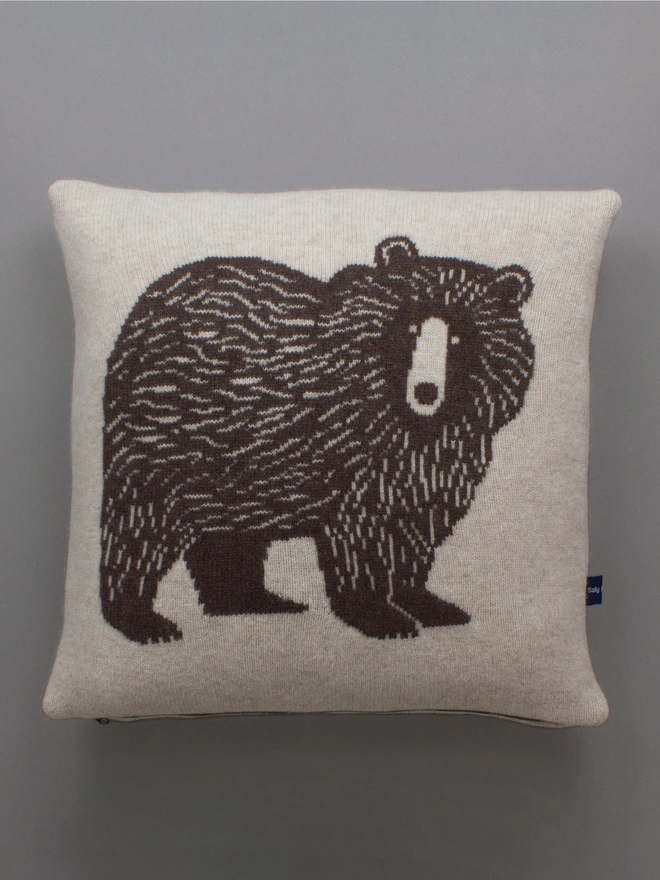 Bear Cushion Front