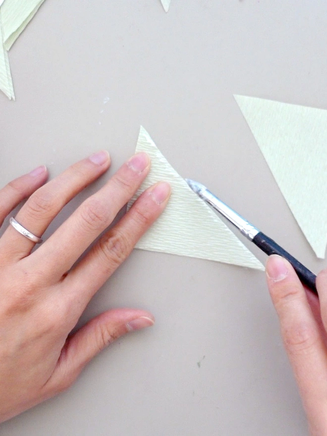 Crepe Paper Cyclamen