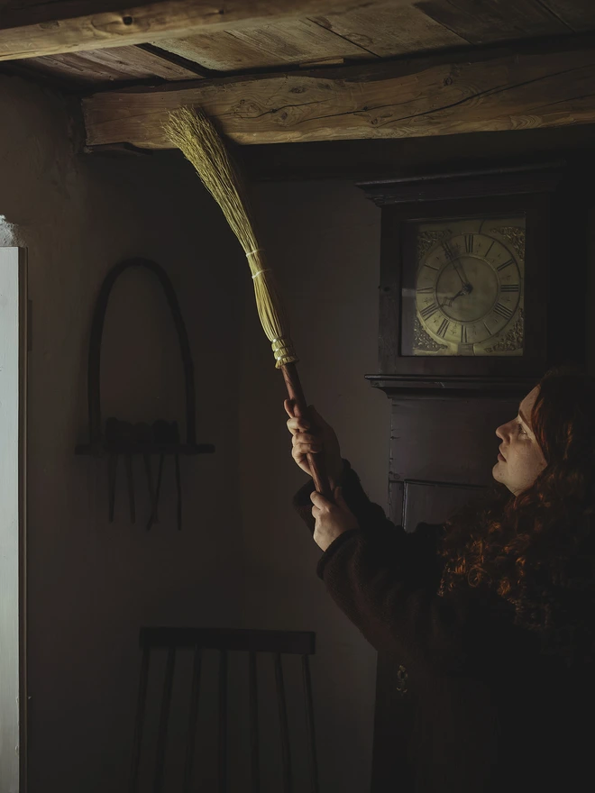 Cobweb broom