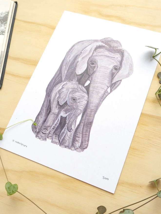 a print with a white background featuring a mother elephant and her calf