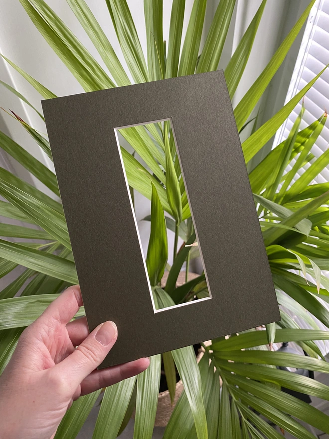 Olive green A5 photo booth / photo strip mount