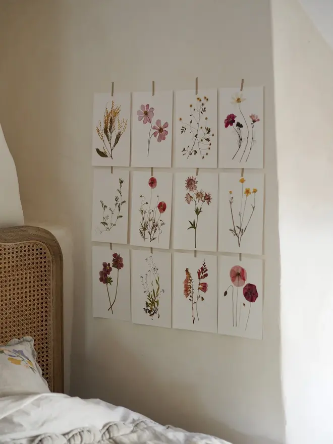 Pressed Wildflower Herbarium Print Collection (Set Of 12), a collection of flowery prints sitting hung up on a wall. 