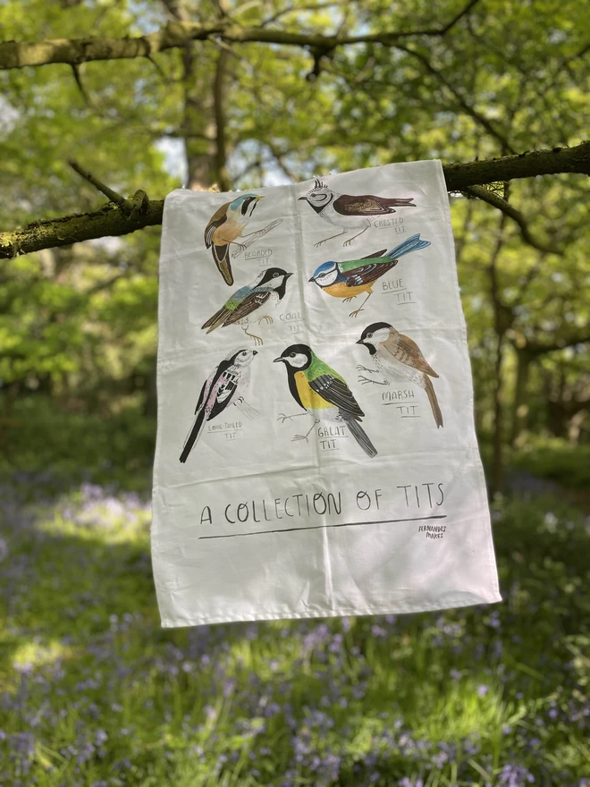 Illustrated Tea towel with seven varieties of Tit birds on a cotton tea towel hanging from a tree in a blue bell meadow 