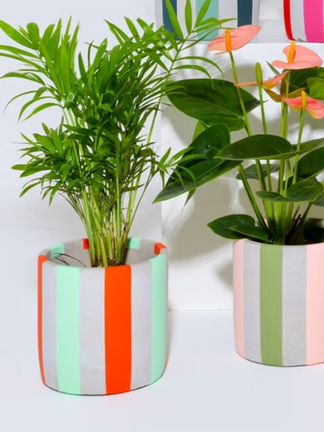 coloured stripes concrete plant pot. a grey plant pot decorated with red and green stripes.