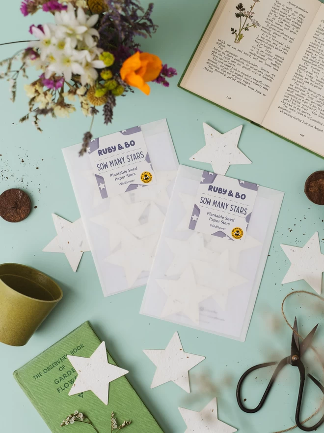 Sow Many Stars! Plantable Seed Paper Stars