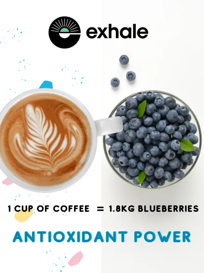Organic Dark(ish) Roast Coffee Pack
