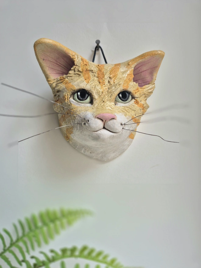 Ginger And White Tabby Cat head