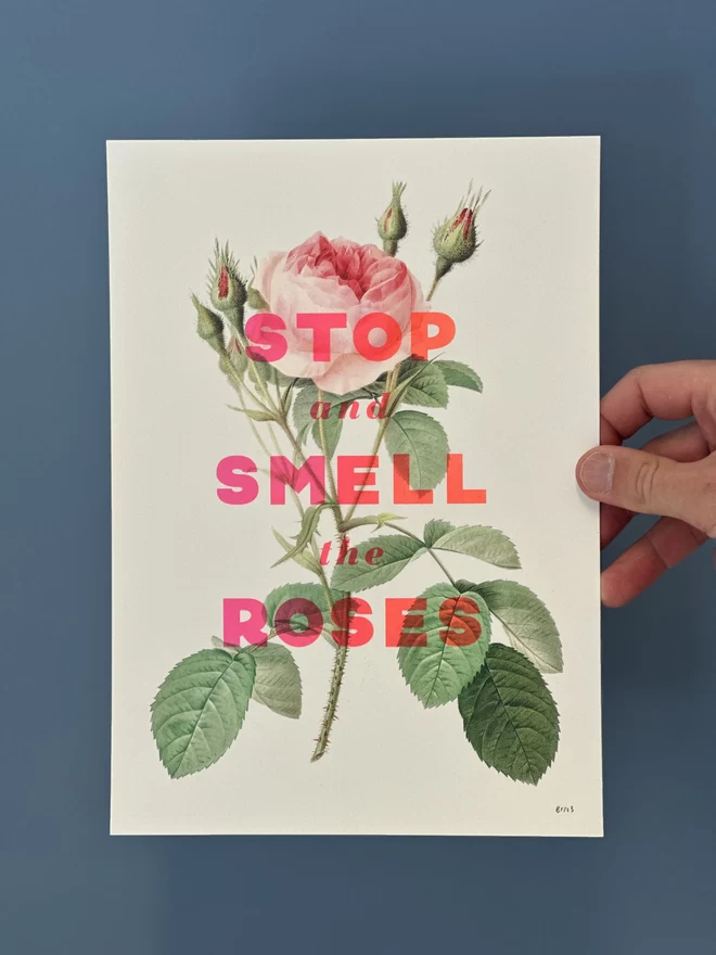 Photograph of a hand holding a screen print showing a beautiful floral pink rose with the words 'Stop and smell the roses' screen printed in flouro pink in over the top of the botanical illustration.