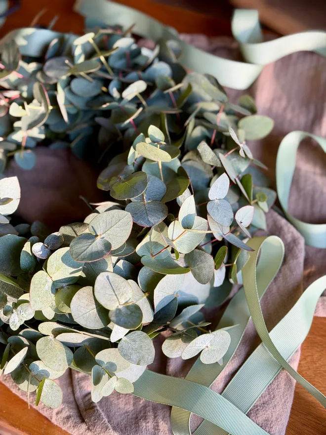 A closer shot of the eucalyptus leaves