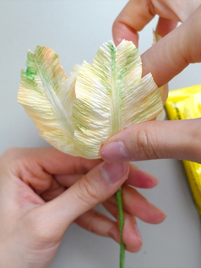 Crepe Paper Parrot Tulip DIY Kit
