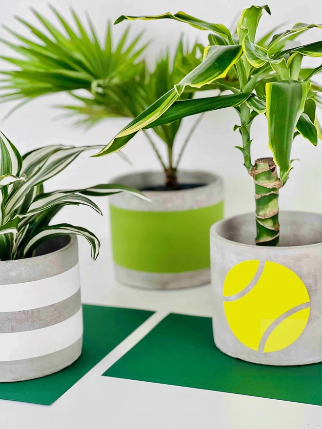 Pow Pots concrete trio of plant pots with graphic patterns in white, green and a yellow tennis ball