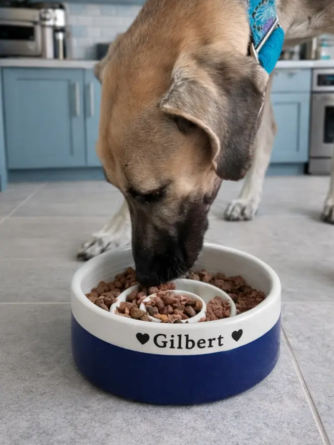 Large Handmade Slow Feeder Dog Bowl