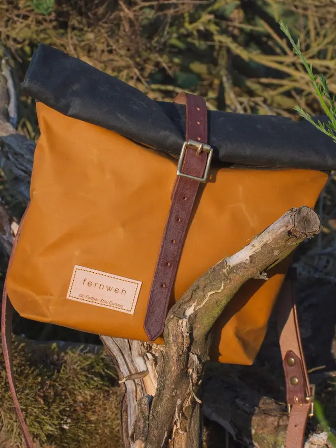 mini rolltop crossbody bag