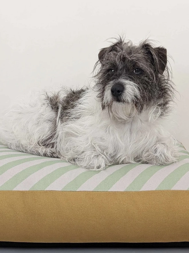  Printed Cotton Patterned Dog Bed, a dog sitting on a patterned dog bed on a tiled floor in front of a white wall. 