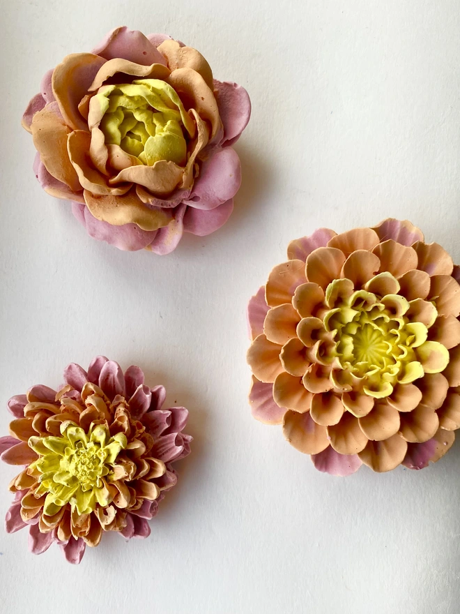 Colourful Concrete Flowers