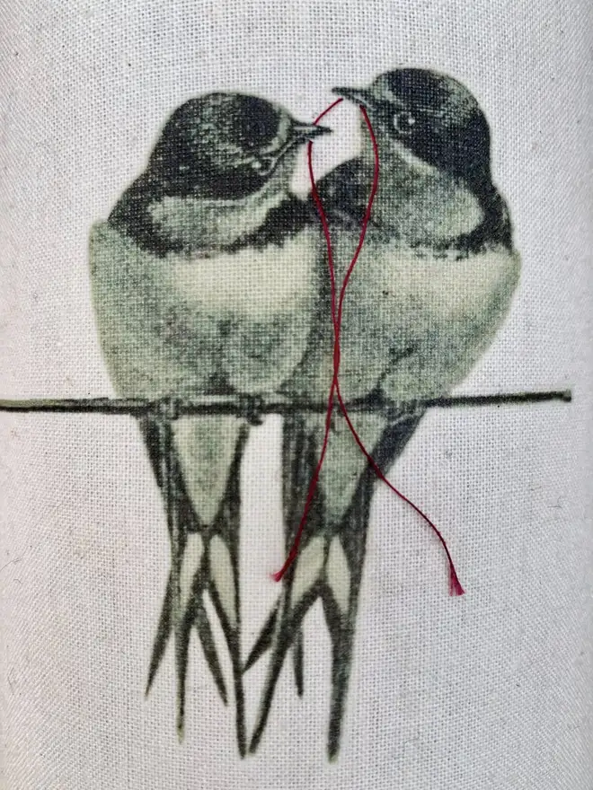 two swallows with a red thread joining their beaks