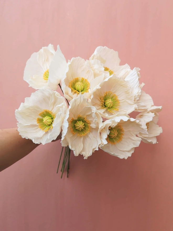 9 peach poppies