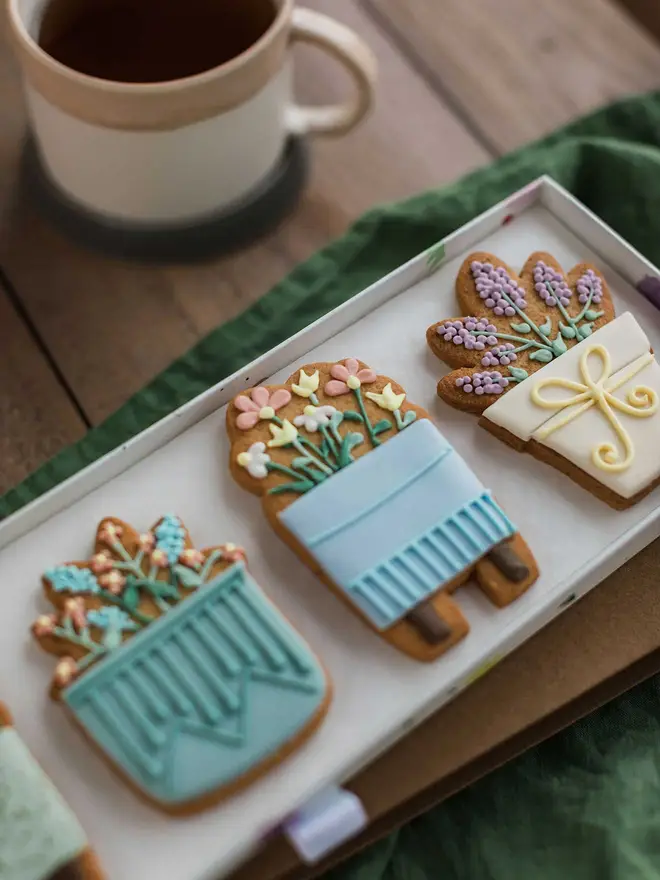 House Plant Biscuit Gift Set