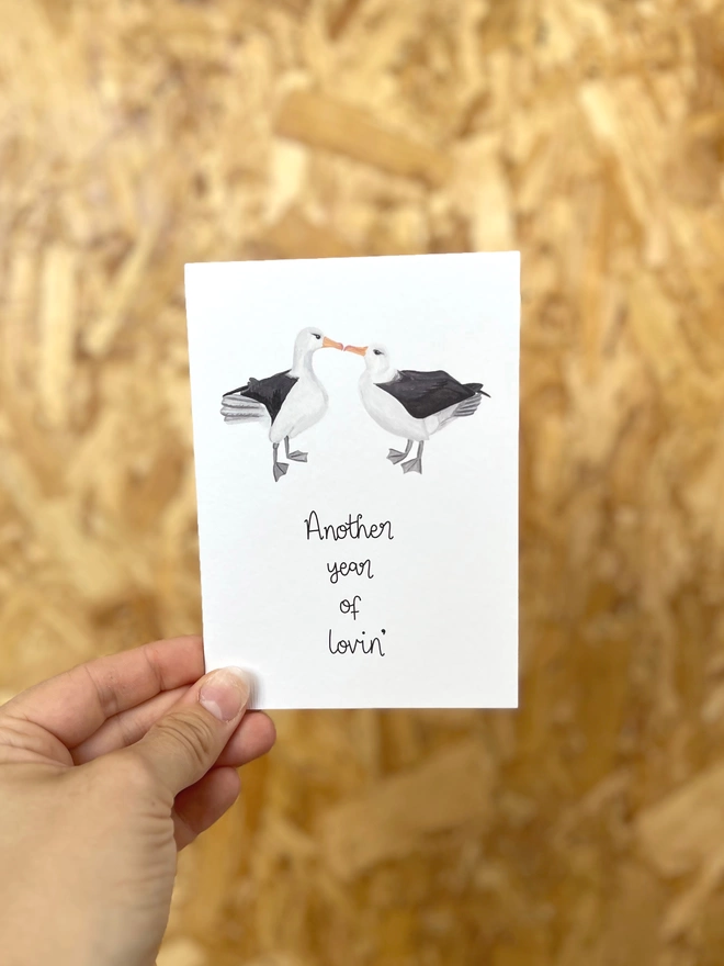 a greetings card featuring two albatross birds kissing with the wording “another year of lovin’”