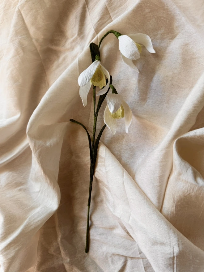 Paper Spring Flowers