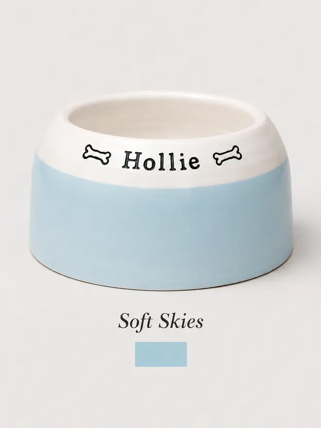 Handmade personalised cocker spaniel bowl in light blue with the name Hollie and bone motifs