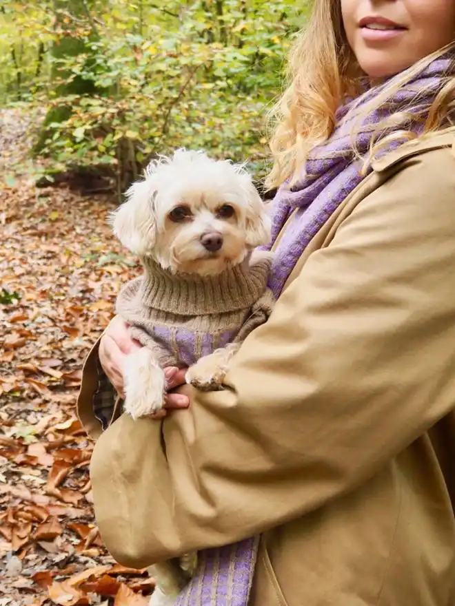 purple dog jumper set