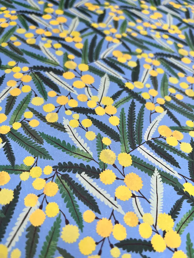 mimosa flower gift wrap