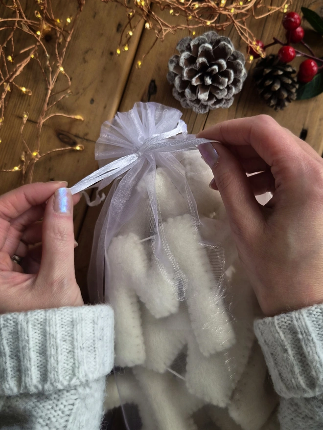 A merry Christmas garland in an organza gift bag. Laid on a table with Christmas lights and pine cones.
