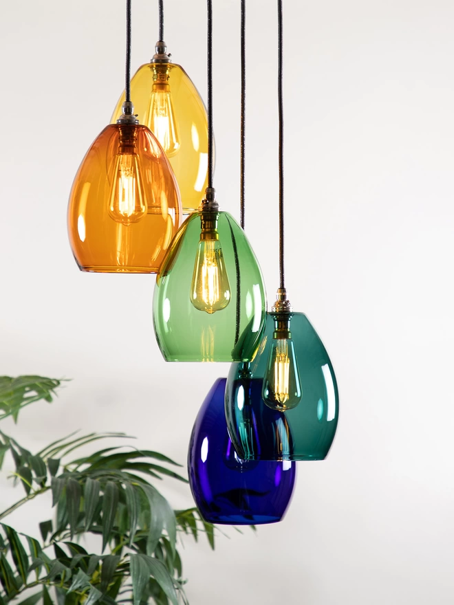 5 Way Coloured Glass Medium Bertie Glass Chandelier Cluster Light in Bright Colours Hung In A Random Formation 