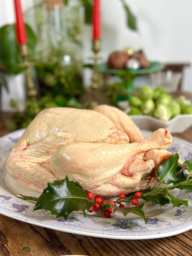 Realistic edible white chocolate raw turkey on a table with Christmas decoration