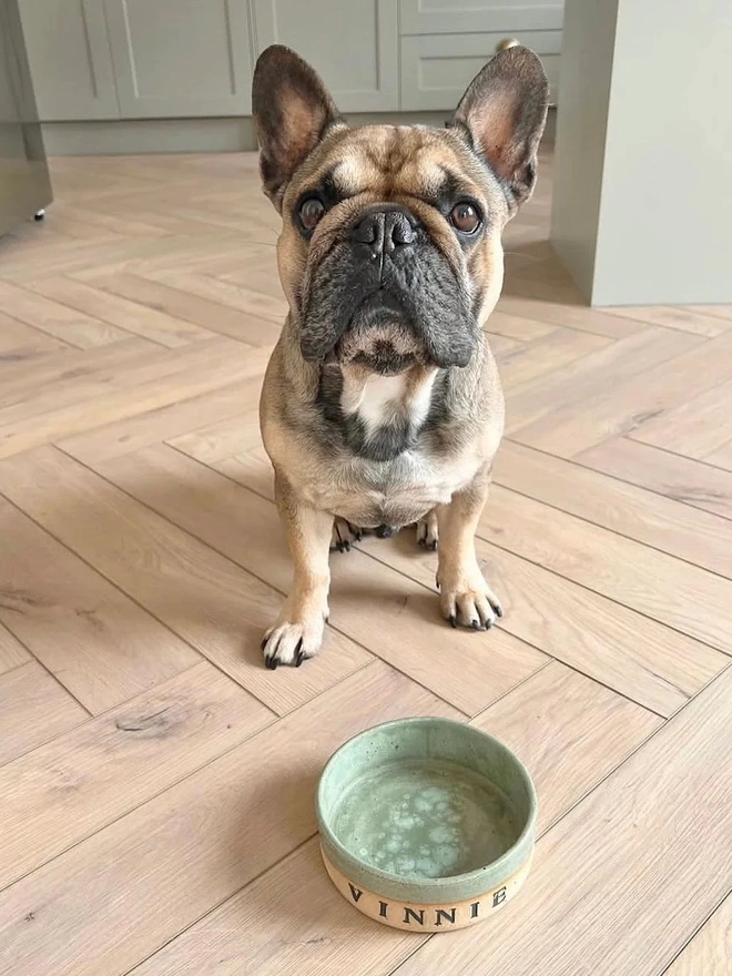 Personalised Green Stoneware Pet Bowl