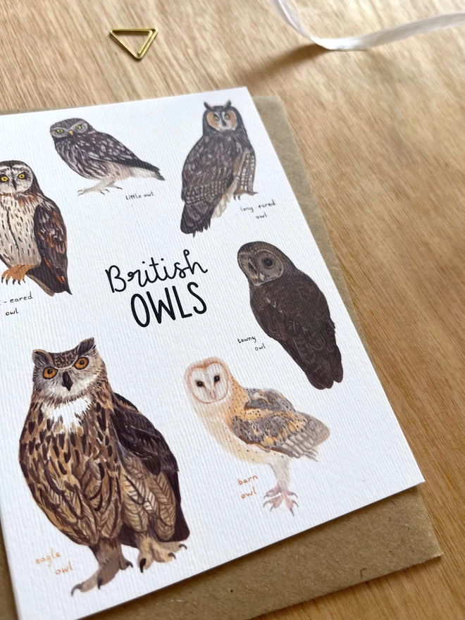 a greetings card featuring owls found in britain and the words “British Owls”