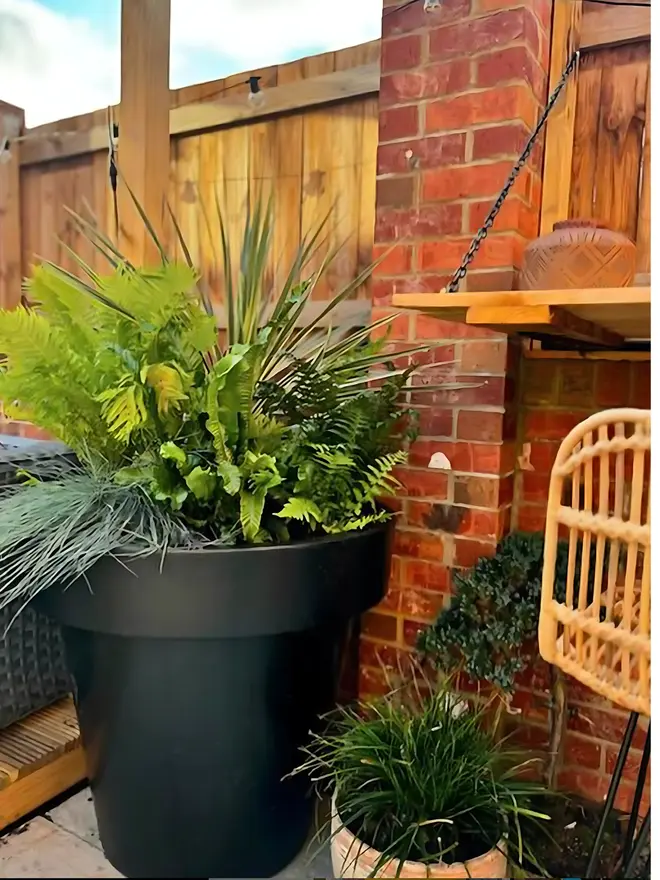 The Tubby in black offers a bold, grounded presence with its generous 216-litre capacity and wide, balanced shape. The deep matte tone creates striking contrast, making it ideal for entrances, patios and commercial spaces. Lightweight yet durable, it’s weather-resistant, frost-resistant and easy to position indoors or outdoors.