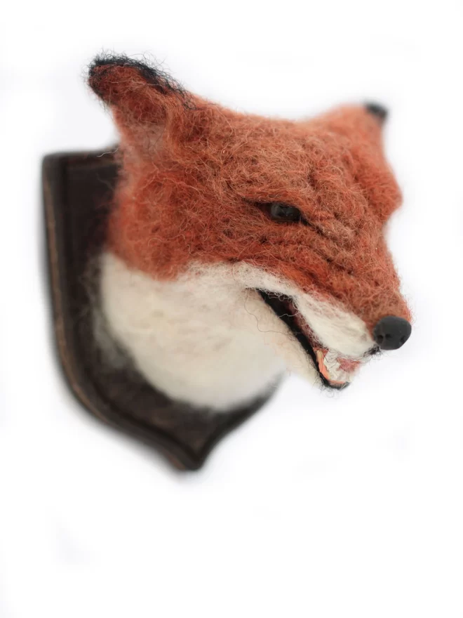 A miniature snarling fox head on plain white background 