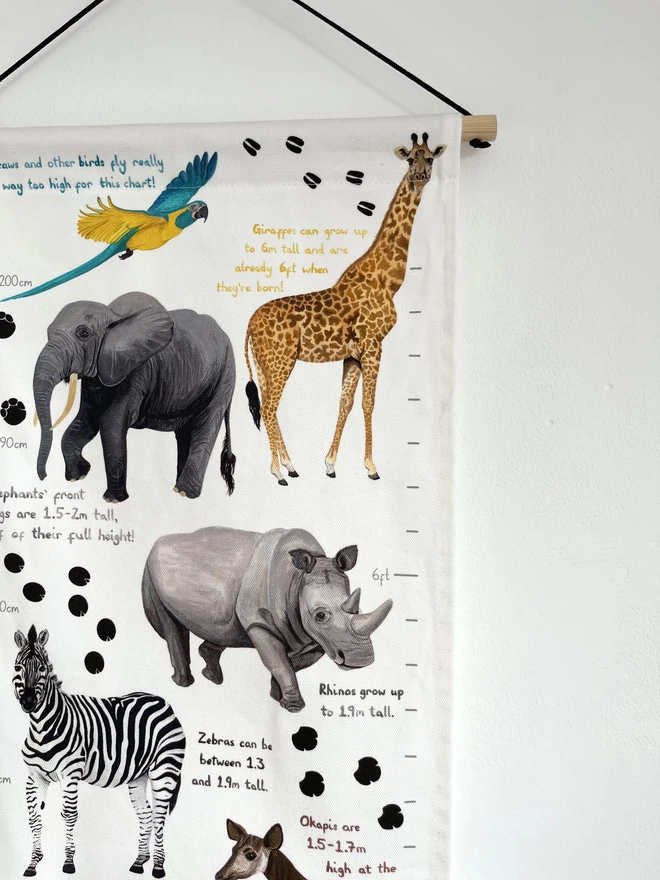 Close up of the fabric height chart featuring an Elephant, a Giraffe, a Macaw Parrot, a Rhino and a Zebra