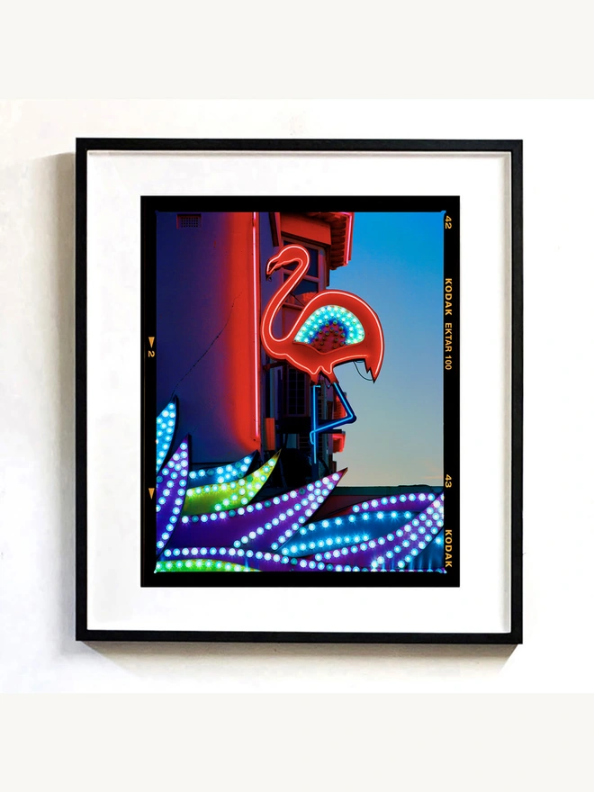 Neon Flamingo Richard Heeps medium colour print framed in black