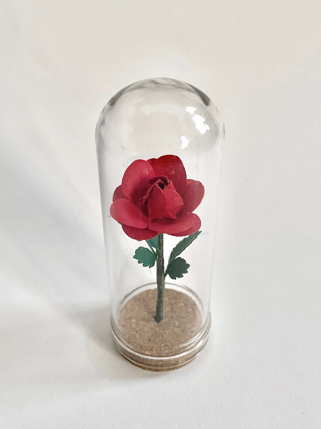 Handmade Mini Rose Dome