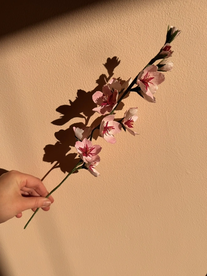 Cherry Blossom Decoration