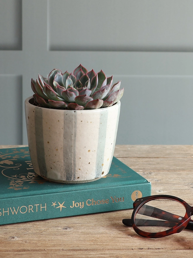 Small Handmade Ceramic Stoneware Plant Pot in Blue and White Stripe sat on a book next to a pair of glasses on wooden table against a panelled background. The plant pot is filled with a green and pink succulent plant. 