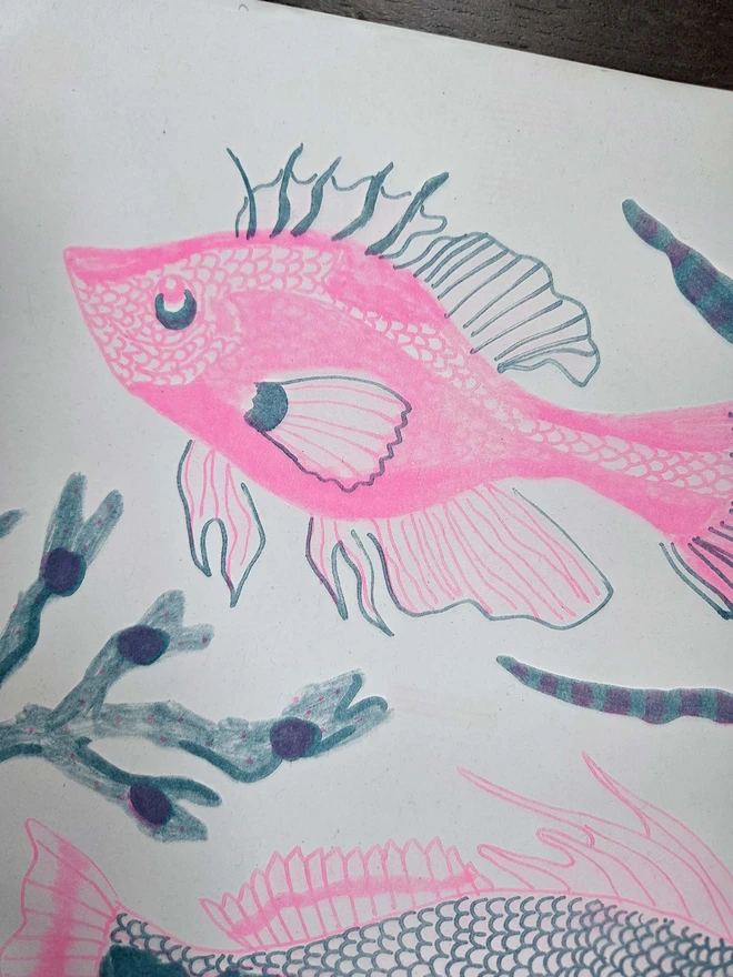 pink and blue risograph print of 3 fish and seaweed, close up
